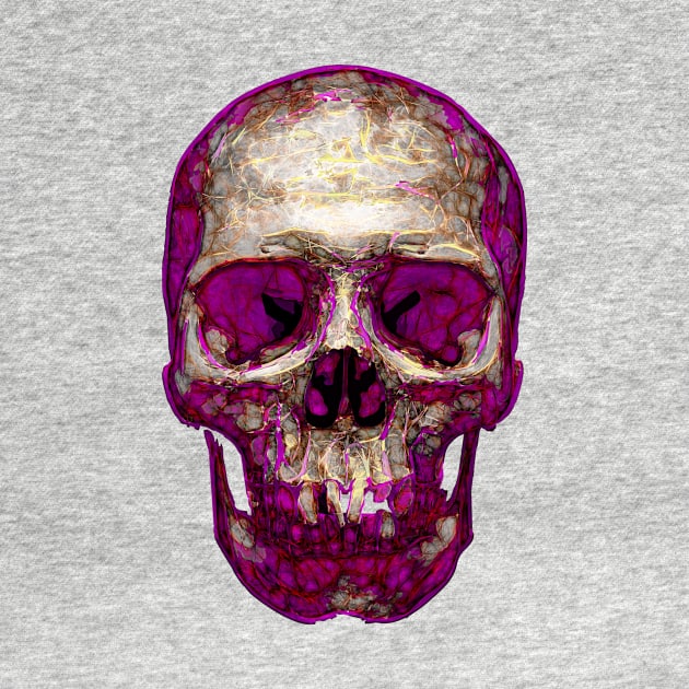 Purple And Gold Skull by crunchysqueak